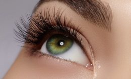 beaute-regard beaute-regard